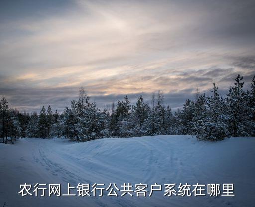 農(nóng)行公戶怎么登陸，農(nóng)行公共用戶