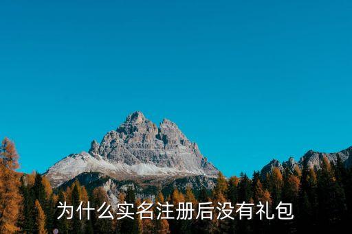 為什么實(shí)名注冊(cè)后沒(méi)有禮包
