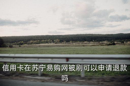 蘇寧盜刷了怎么辦，昨天我的手機不小心收到短信鏈接卡被pos蘇寧易付寶盜刷總計