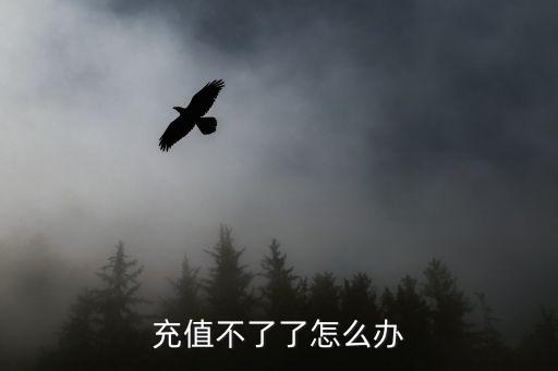 充值不了了怎么辦