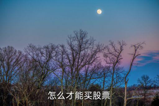 怎么才可以買股票，怎么才能買股票