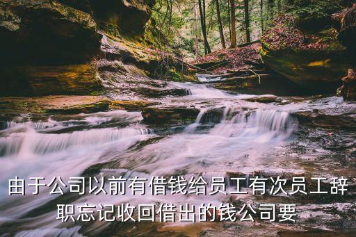 公司拒絕借錢制度怎么寫，由于公司以前有借錢給員工有次員工辭職忘記收回借出的錢公司要
