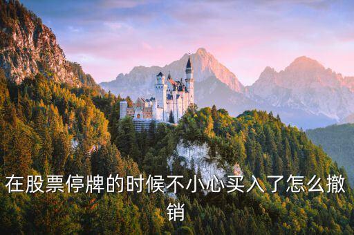 在股票停牌的時候不小心買入了怎么撤銷