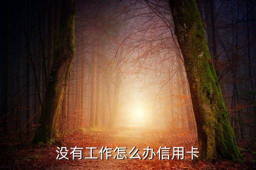 沒有工作怎么辦信用卡