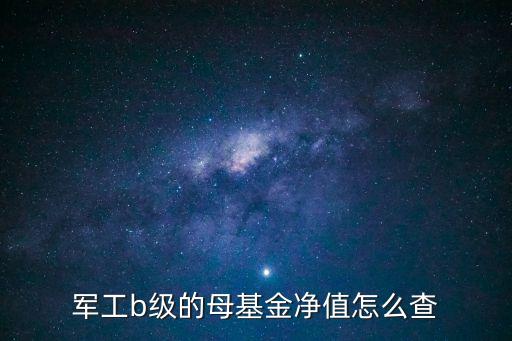 大智慧怎么看軍工b凈值，怎么用大智慧查基金