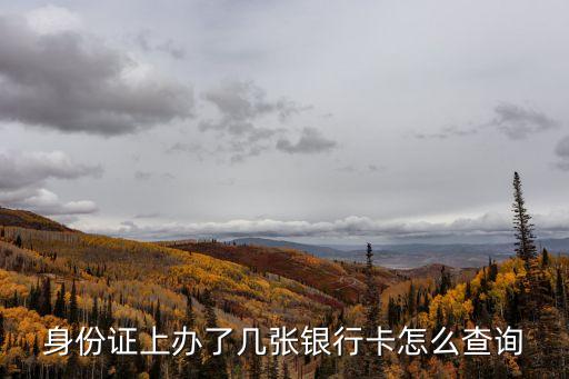 身份證上辦了幾張銀行卡怎么查詢