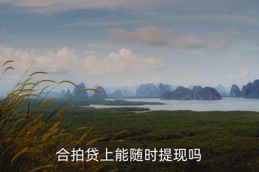合拍貸上能隨時提現(xiàn)嗎