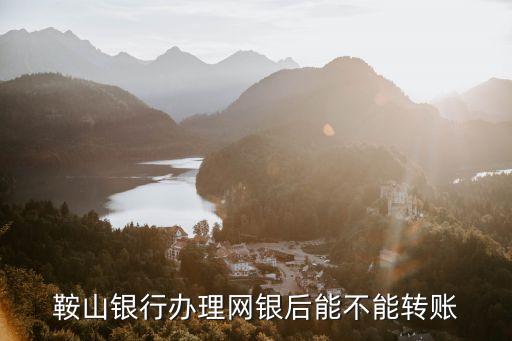 鞍山銀行辦理網(wǎng)銀后能不能轉(zhuǎn)賬