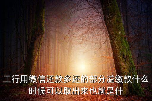 工行溢繳款怎么取出來，溢繳款怎么提出