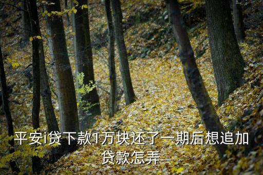 平安新一貸怎么追加，平安i貸下款1萬塊還了一期后想追加貸款怎弄