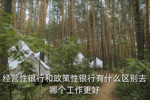經(jīng)營(yíng)性銀行和政策性銀行有什么區(qū)別去哪個(gè)工作更好