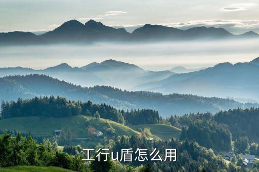 工行u盾怎么用
