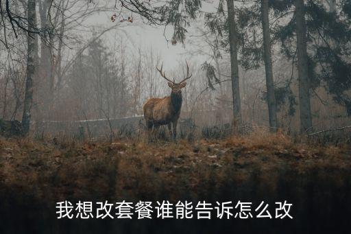 我想改套餐誰能告訴怎么改