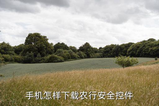 手機(jī)怎樣下載農(nóng)行安全控件