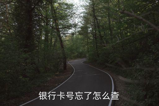 銀行卡號(hào)不記得怎么查詢，銀行卡號(hào)忘了怎么辦