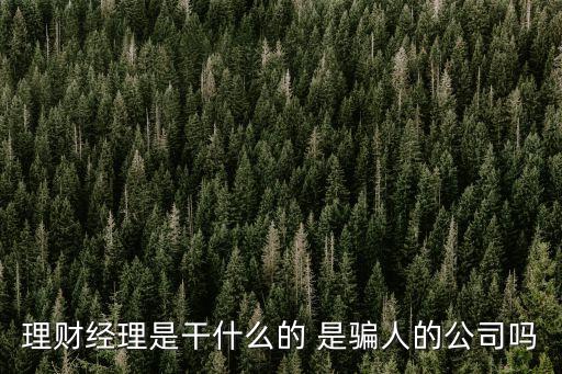 理財經(jīng)理是干什么的 是騙人的公司嗎