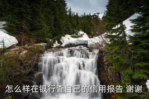 怎么樣在銀行查自己的信用報告 謝謝