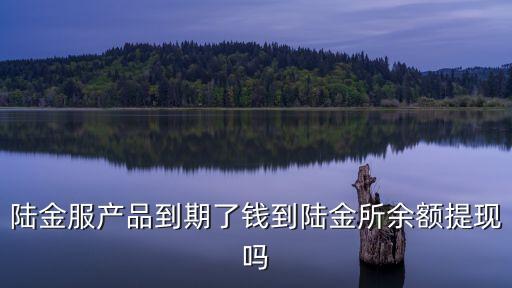 陸金服產(chǎn)品到期了錢(qián)到陸金所余額提現(xiàn)嗎