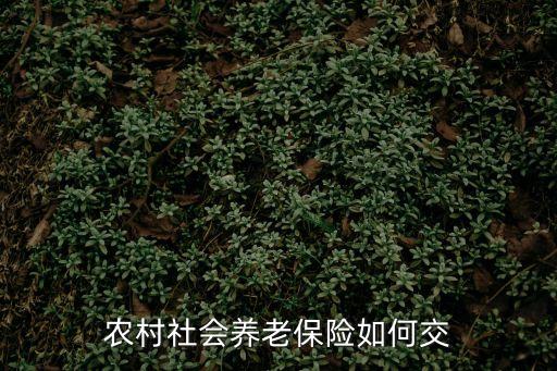 農(nóng)村社會養(yǎng)老保險如何交