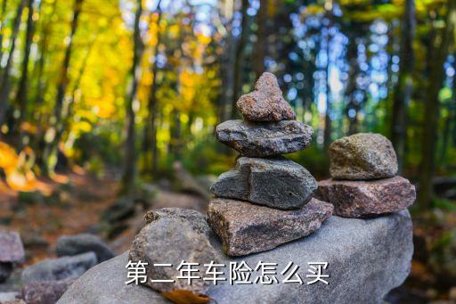 車第二年保險(xiǎn)怎么買，第二年車險(xiǎn)續(xù)保怎么買