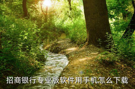 招行個(gè)人銀行專業(yè)版怎么下載，怎樣下載招商銀行a p p