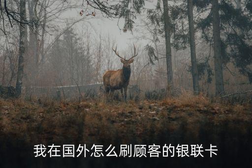 我在國(guó)外怎么刷顧客的銀聯(lián)卡