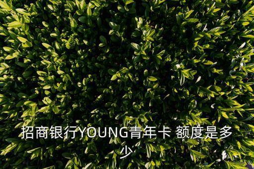 young卡怎么提額度是多少錢，申請了一張招商young卡額度只有三千可是我都是上萬的額度這