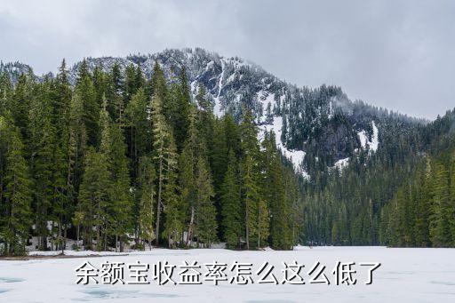 余額寶收益率怎么這么低了