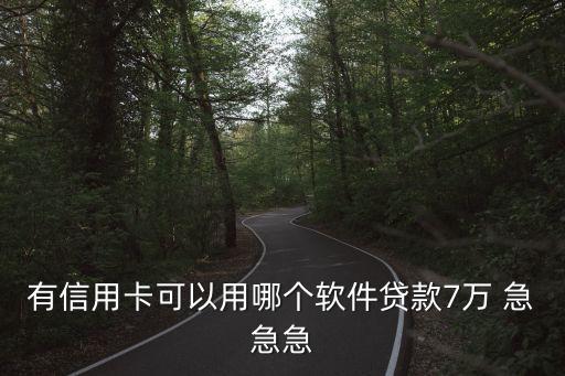 有信用卡可以用哪個軟件貸款7萬 急急急