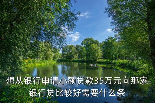想從銀行申請小額貸款35萬元向那家銀行貸比較好需要什么條