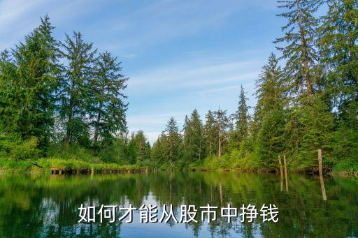 炒股怎么能賺到錢，如何才能從股市中掙錢