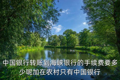 中國(guó)銀行轉(zhuǎn)賬到海峽銀行的手續(xù)費(fèi)要多少呢加在農(nóng)村只有中國(guó)銀行