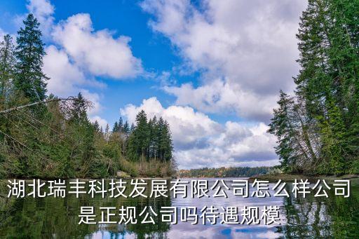 達人貸怎么樣，湖北瑞豐科技發(fā)展有限公司怎么樣公司是正規(guī)公司嗎待遇規(guī)模