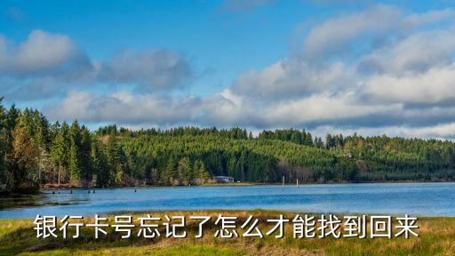 銀行卡號忘記了怎么才能找到回來