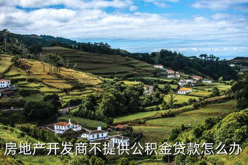 開發(fā)商不提供貸款資料怎么辦，新房辦理貸款需要手續(xù) 開發(fā)商不出怎么辦