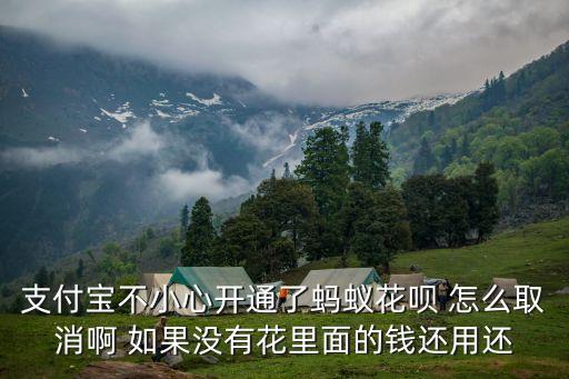 支付寶不小心開通了螞蟻花唄 怎么取消啊 如果沒有花里面的錢還用還