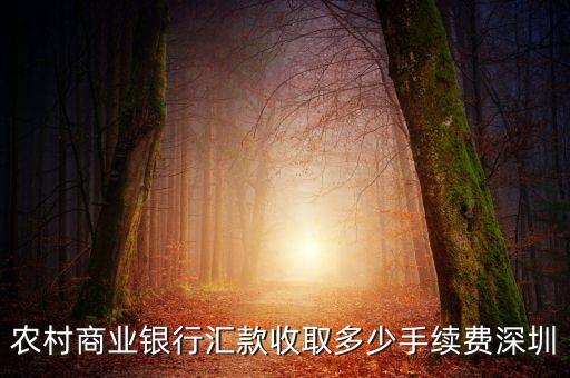 農(nóng)商銀行手續(xù)費怎么收，農(nóng)村商業(yè)銀行匯款收取多少手續(xù)費深圳