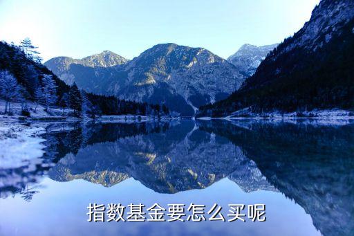 股票指數(shù)基金怎么買，指數(shù)基金要怎么買呢