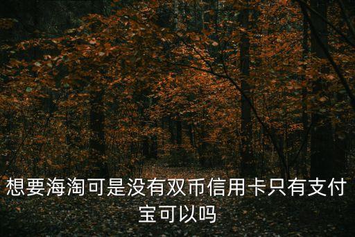 沒有雙幣信用卡怎么辦，郵輪游沒有雙幣信用卡怎么辦