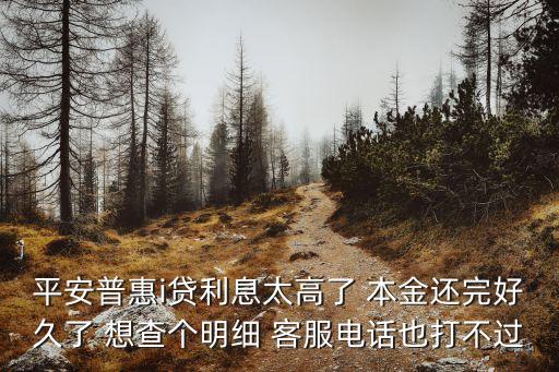 平安普惠i貸利息太高了 本金還完好久了 想查個(gè)明細(xì) 客服電話也打不過