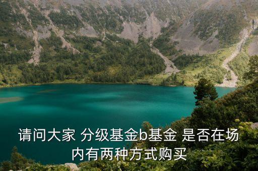 請問大家 分級基金b基金 是否在場內有兩種方式購買