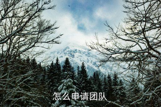 怎么申請團隊