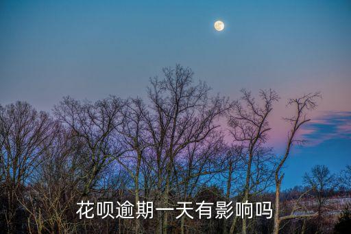 花唄逾期幾天會怎么樣，花唄逾期一天有影響嗎