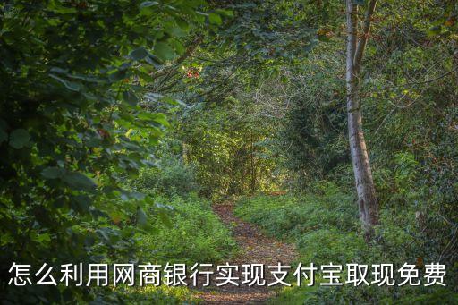 怎么利用網(wǎng)商銀行實(shí)現(xiàn)支付寶取現(xiàn)免費(fèi)