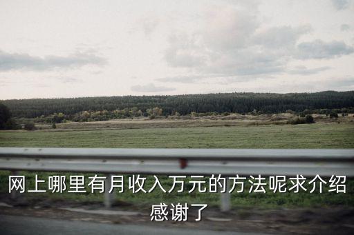 怎么可以網(wǎng)絡(luò)月入過萬，網(wǎng)上哪里有月收入萬元的方法呢求介紹 感謝了