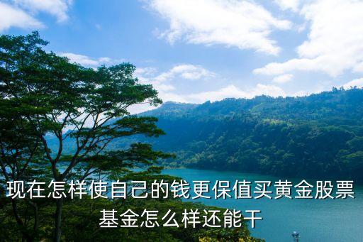 現(xiàn)在怎樣使自己的錢更保值買黃金股票基金怎么樣還能干