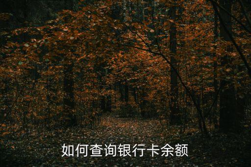 怎么查德州銀行卡余額查詢，如何查詢銀行卡余額