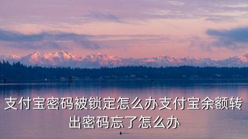 支付寶密碼被鎖定怎么辦支付寶余額轉(zhuǎn)出密碼忘了怎么辦