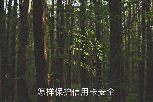 怎樣保護(hù)信用卡安全