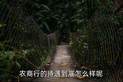 農(nóng)商行的待遇到底怎么樣呢